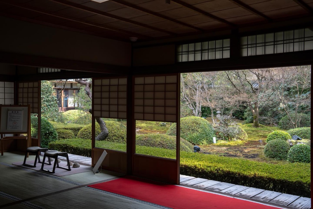 雲龍院の庭に面した畳の部屋と赤い敷物
