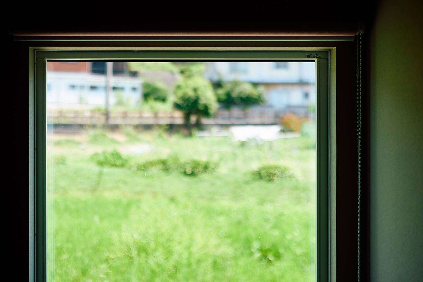 窓いっぱいの緑