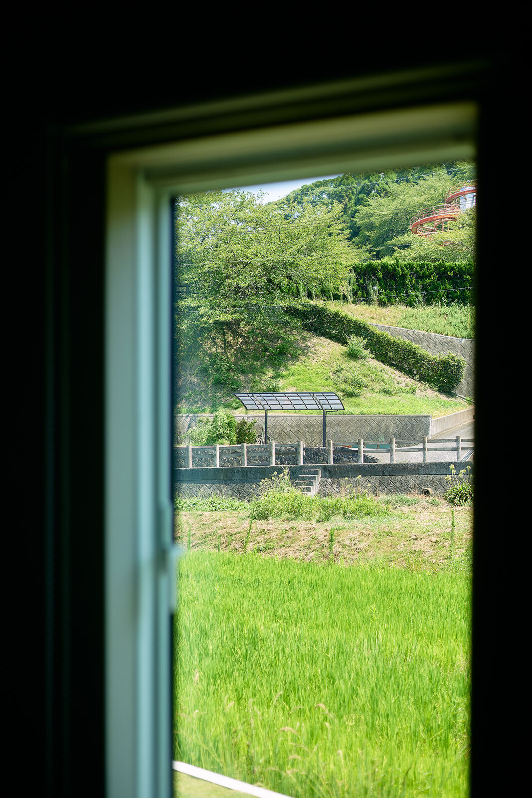 窓の外に広がる田園の緑