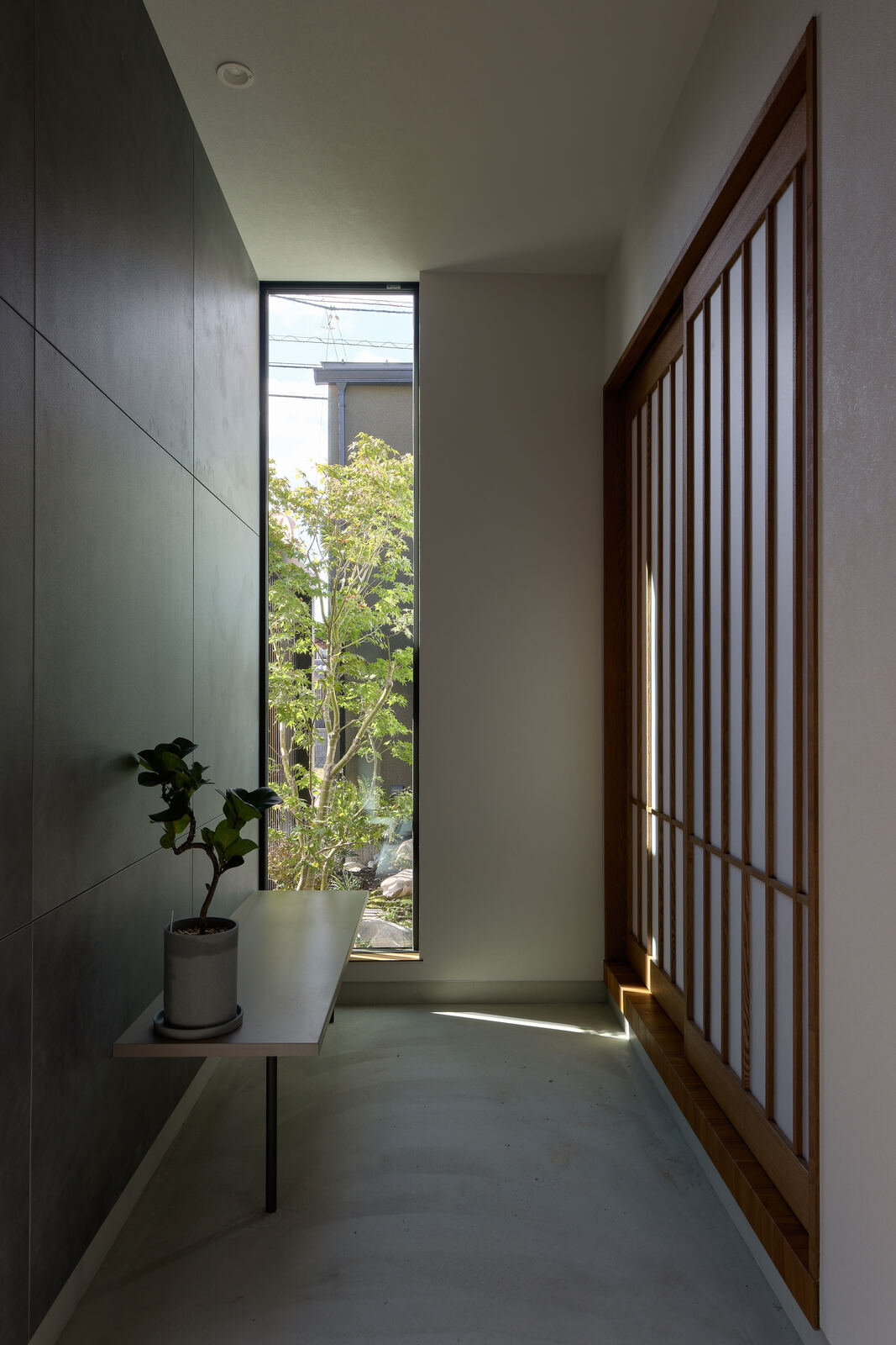 格子と観葉植物のコーナー