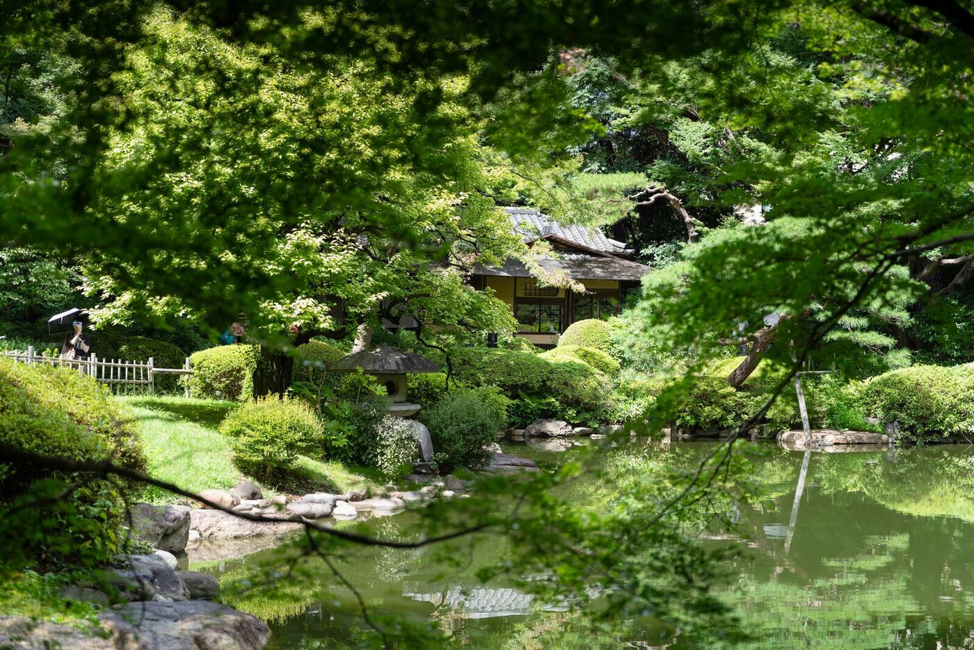 日本庭園の池。水面に緑が映る