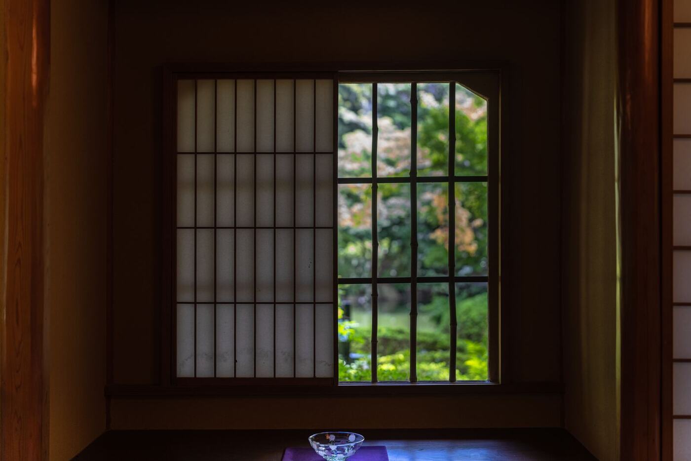 障子を開けた茶室。畳から庭を見る