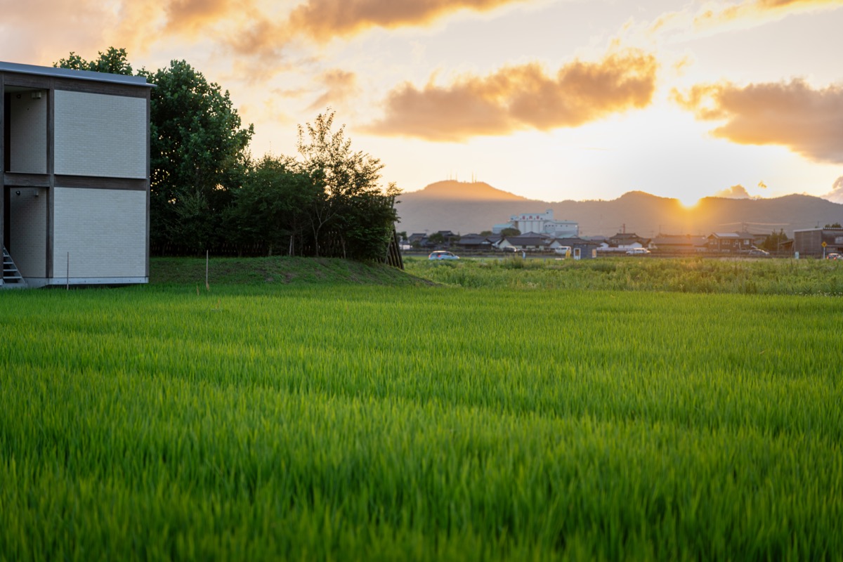 夕日が沈む水田と遠くの山並み(鶴岡)