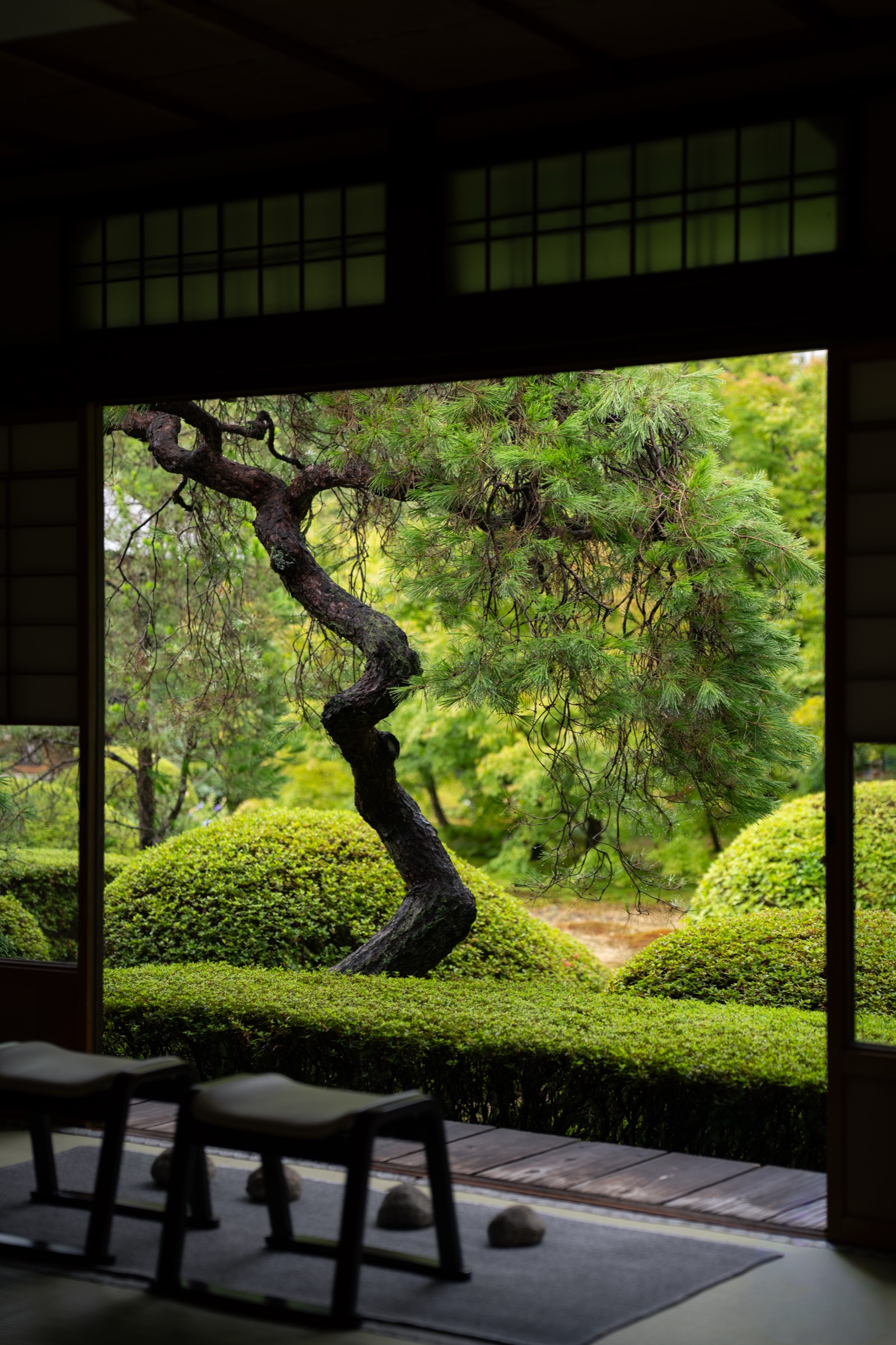 从昏暗座敷望向明亮庭院(云龙院)