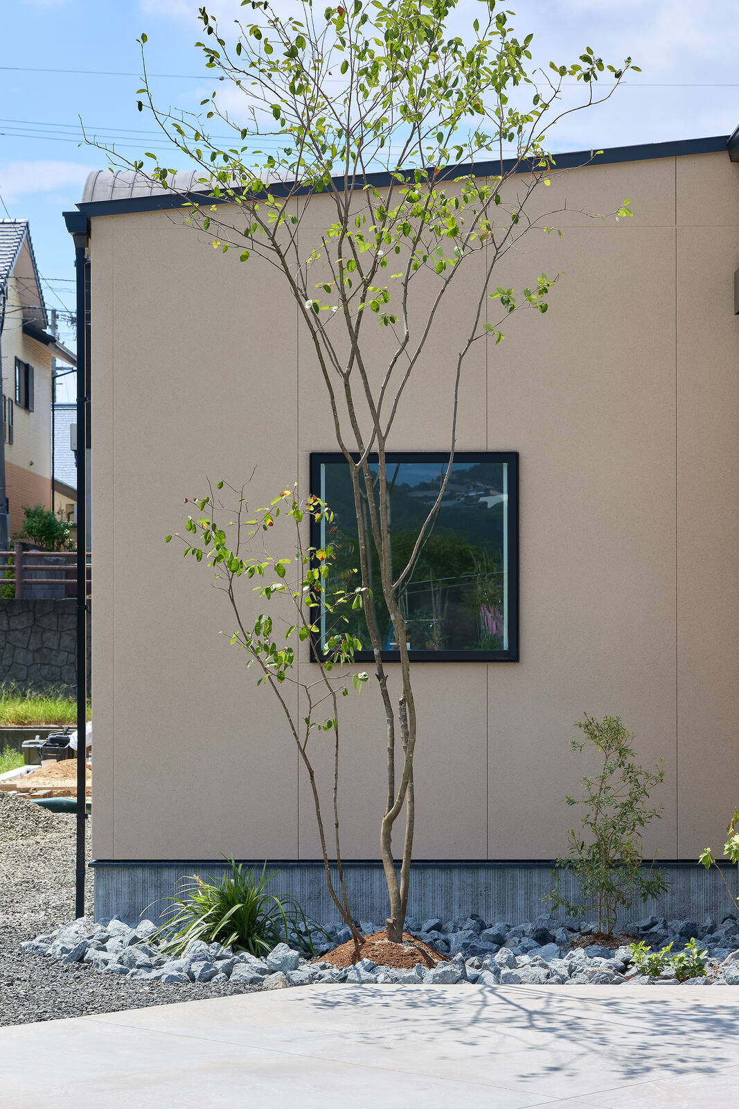 外壁と、足もとに植えられた木