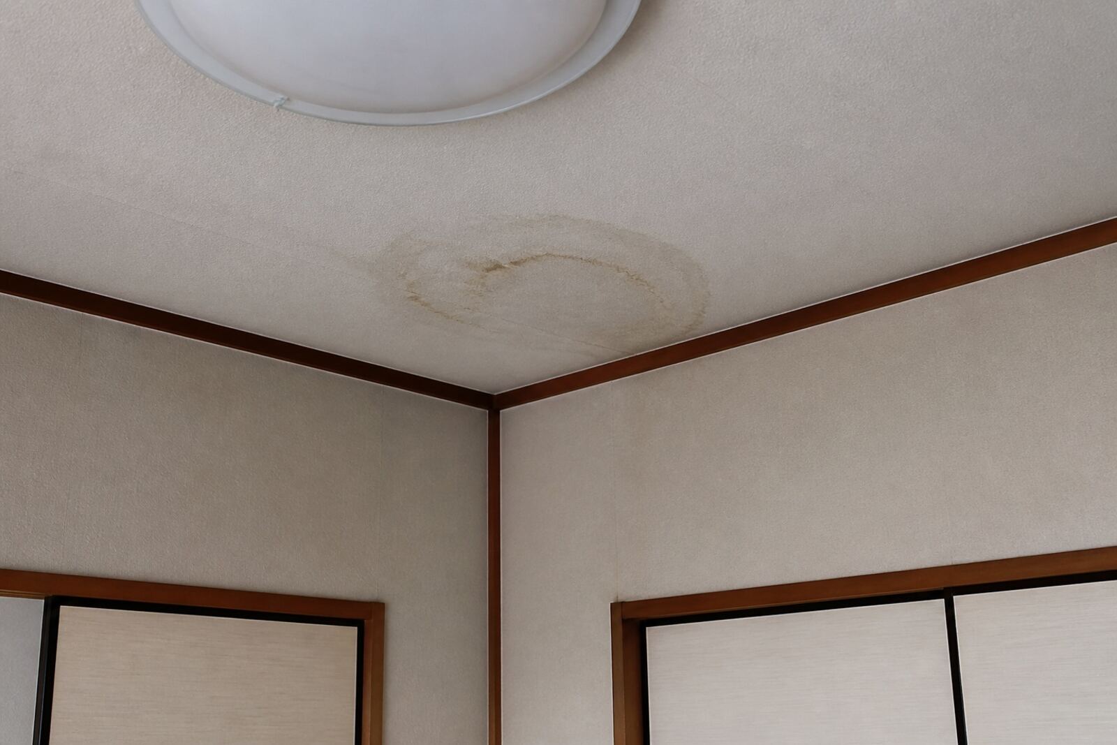 和室の天井の隅にできた、茶色い輪状の雨染み